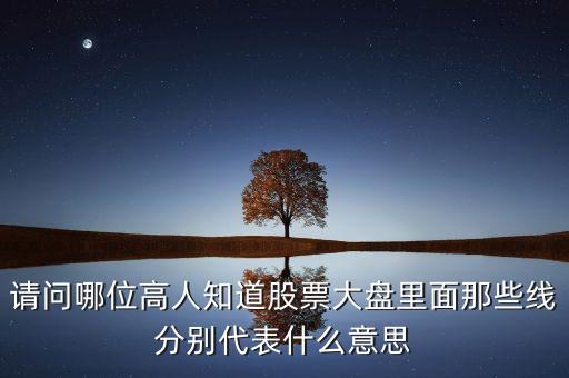 股票日线图上多代表什么，股票走势图上的线都是什么意思