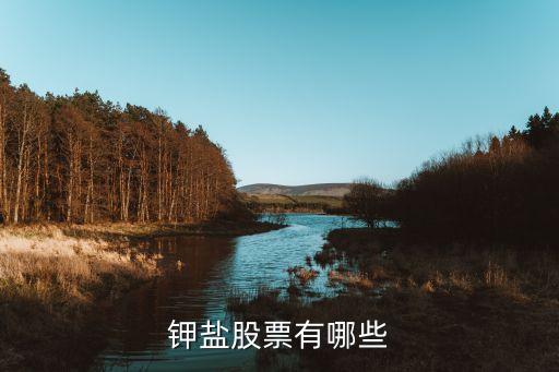 钾肥公司股票代码是什么，生产钾肥的上市公司有哪些