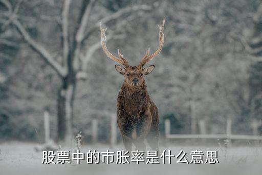 股票中的市胀率是什么意思