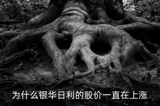 为什么银华日利的股价一直在上涨