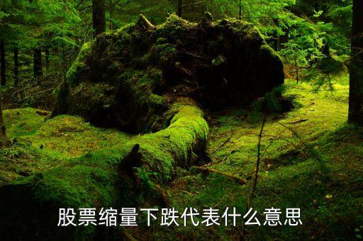 股票缩量回落是什么意思，股票缩量下跌代表什么意思