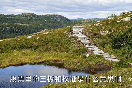 股票9天3板什么意思啊，股票市场三板是什么东西
