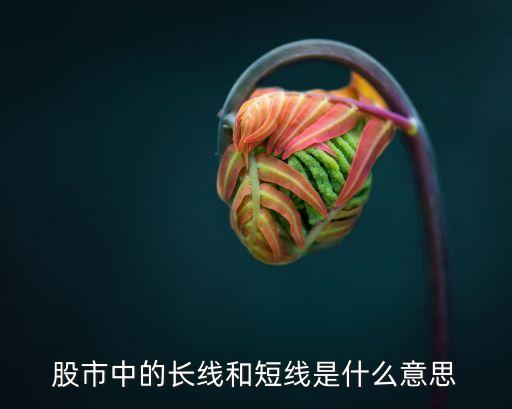 股市中的长线和短线是什么意思
