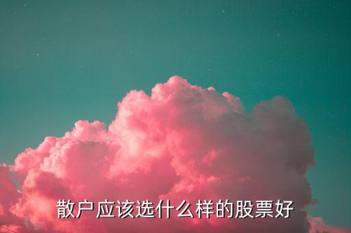 散户应该选什么样的股票好