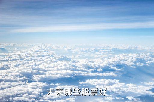 未来哪些股票好