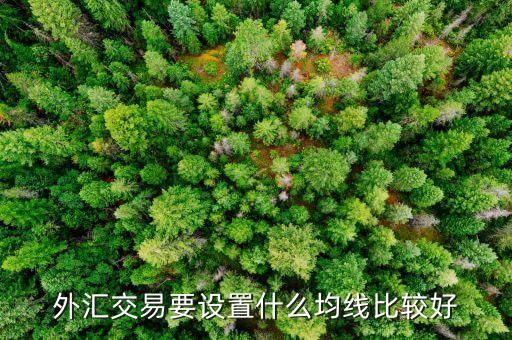 外汇交易要设置什么均线比较好