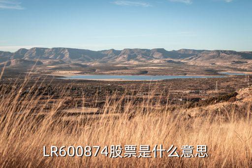 LR600874股票是什么意思