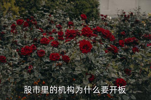 股市里的机构为什么要开板