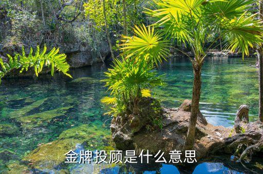 金牌投顾是什么意思
