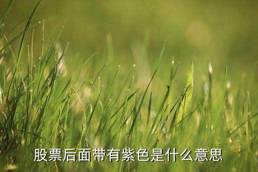 股票后面带有紫色是什么意思