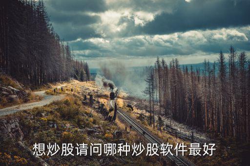 想炒股请问哪种炒股软件最好