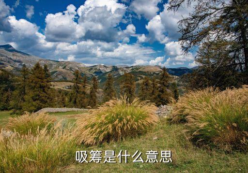 股票机构吸筹什么意思啊，吸筹是什么意思