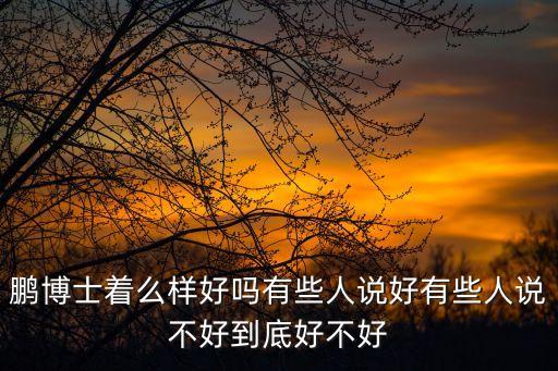 鹏博士股票是什么样的，鹏博士着么样好吗有些人说好有些人说不好到底好不好