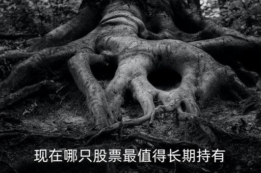 现在哪只股票最值得长期持有