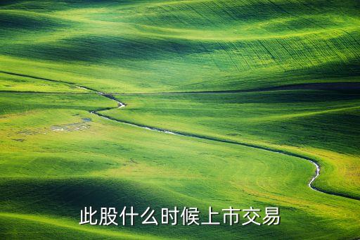 此股什么时候上市交易
