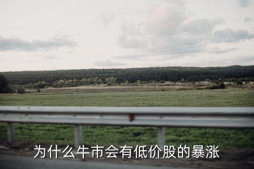 为什么牛市会有低价股的暴涨