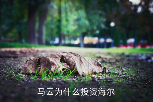 马云为什么投资海尔