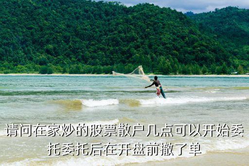 请问在家炒的股票散户几点可以开始委托委托后在开盘前撤了单