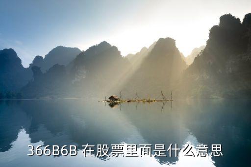 366B6B 在股票里面是什么意思