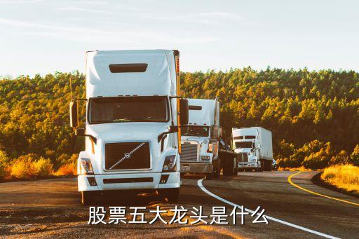 股票五大龙头是什么