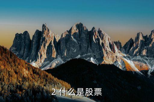 2 什么是股票