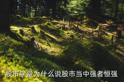 股市学堂为什么说股市当中强者恒强