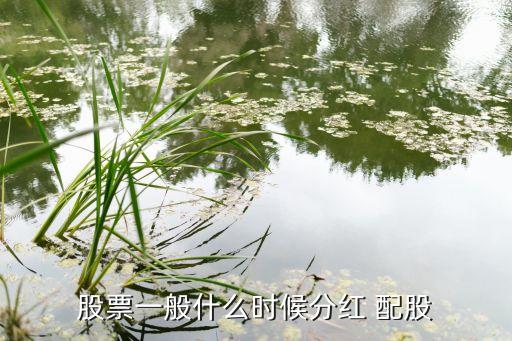 股票一般什么时候分红 配股
