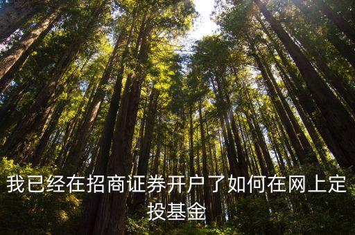 我已经在招商证券开户了如何在网上定投基金