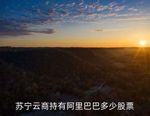 苏宁云商持有阿里巴巴多少股票