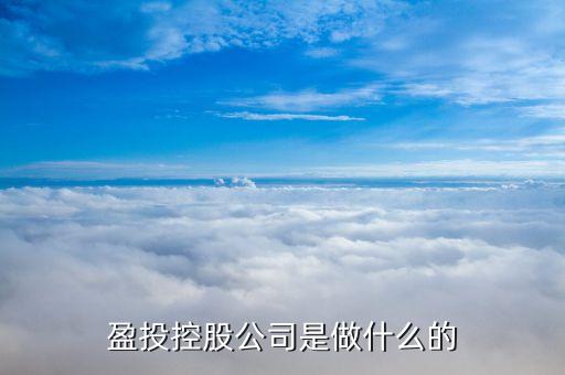 盈投控股公司是做什么的