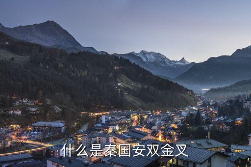 什么是秦国安双金叉