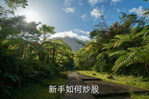 新手如何炒股