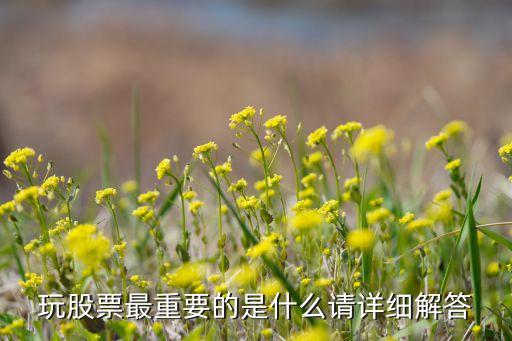 玩股票最重要的是什么请详细解答