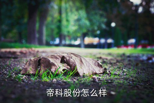 帝科股份是做什么的股票，帝科股份是做什么的