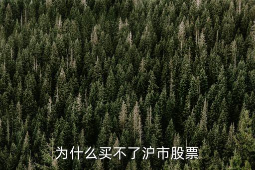 为什么买不了沪市股票