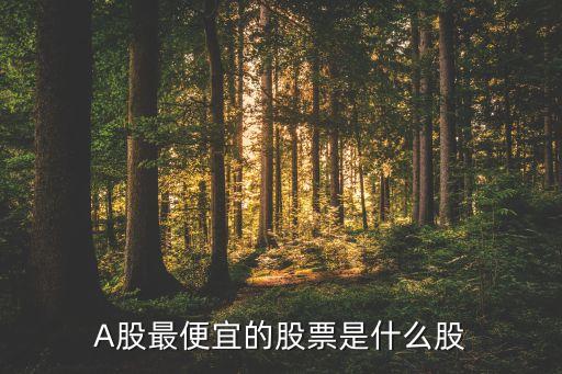 A股最便宜的股票是什么股