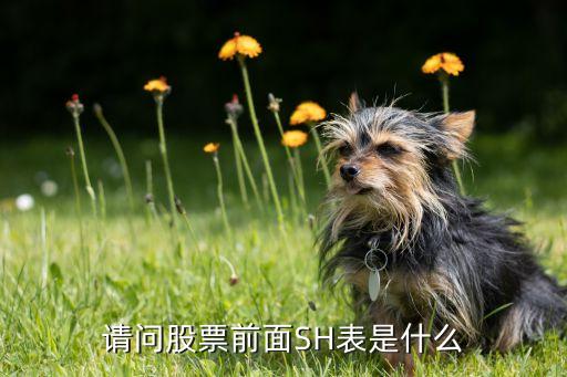 请问股票前面SH表是什么