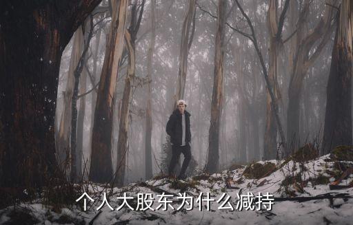 个人大股东为什么减持