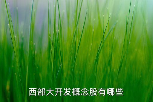 西部大开发概念股有哪些