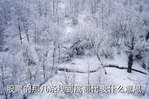股票的那几条线到底都代表什么意思