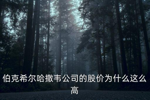 伯克希尔哈撒韦公司的股价为什么这么高