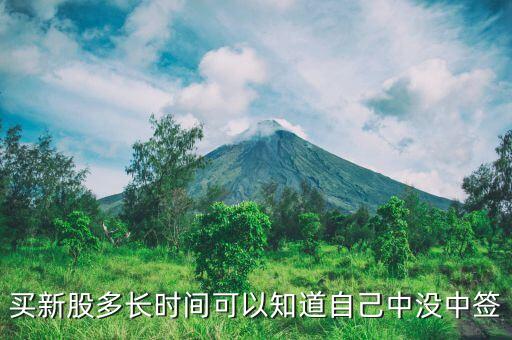 股票买完什么时候看结果，集中竞价买的股票什么时候知道结果