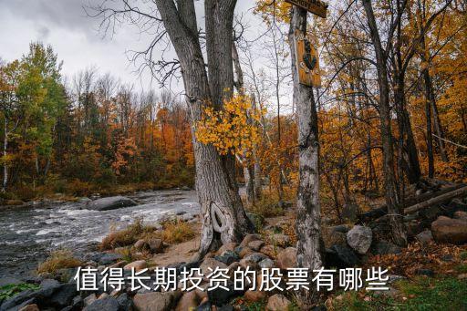 值得长期投资的股票有哪些
