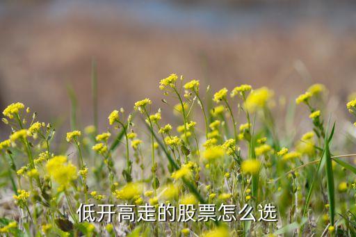 低开高走的股票怎么选