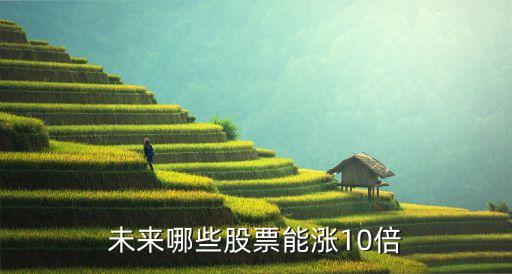 未来哪些股票能涨10倍