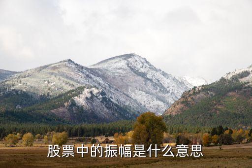 什么是低振幅股票价格，股票中的振幅是什么意思
