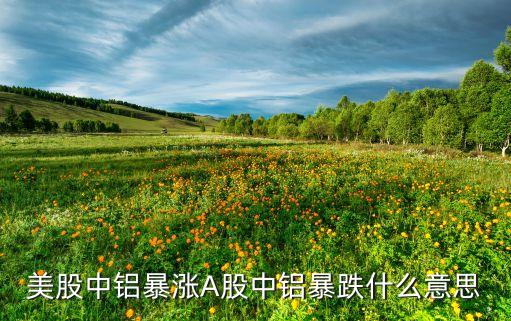 美股中铝暴涨A股中铝暴跌什么意思