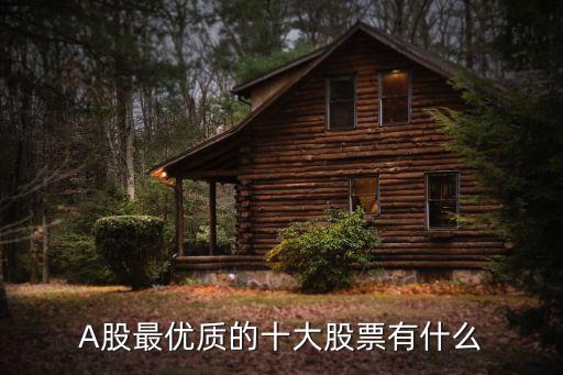A股最优质的十大股票有什么