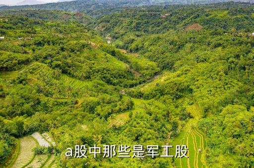 有什么股票有属军工股的，军工股上市公司有哪些