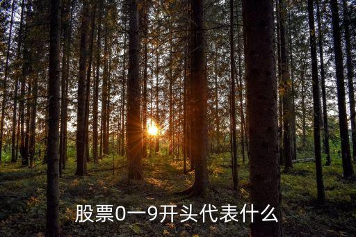 股票0一9开头代表什么